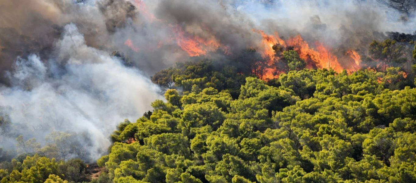 Φωτιά στην Ανάβυσσο: Viral η γυναίκα από την Πολιτική Προστασία που τα «δίνει» όλα στη «μάχη» με τις φλόγες (φώτο)